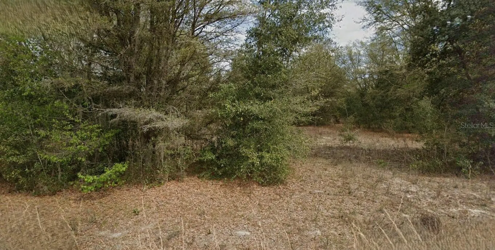 Guy Avenue Interlachen FL 32148