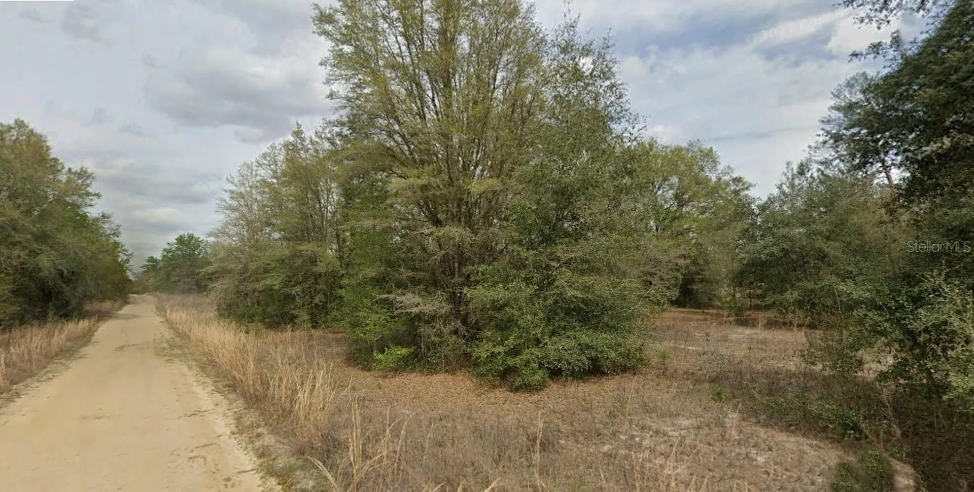 Guy Avenue Interlachen FL 32148
