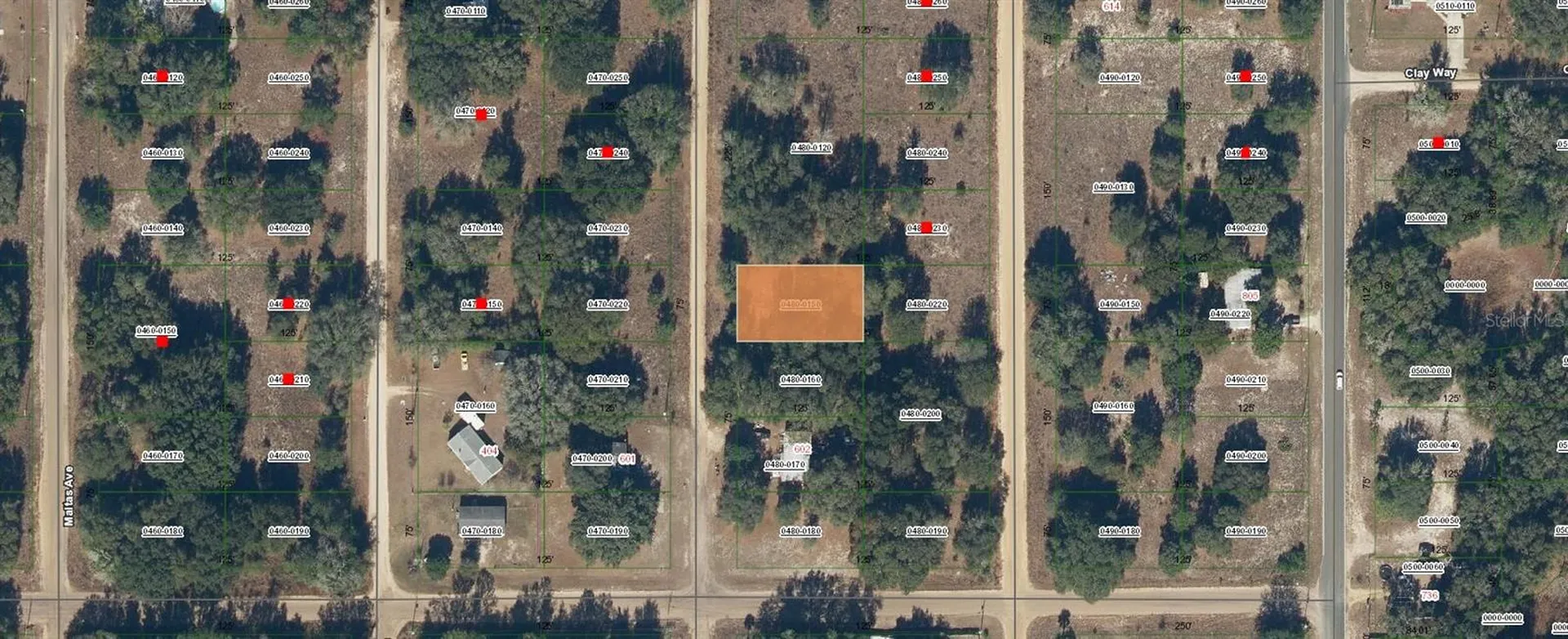 Guy Avenue Interlachen FL 32148