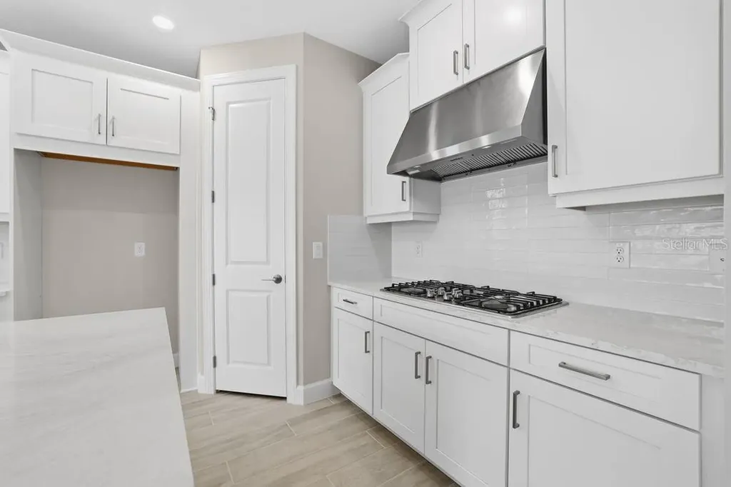 3897 Figliolia Way Wesley Chapel FL 33543