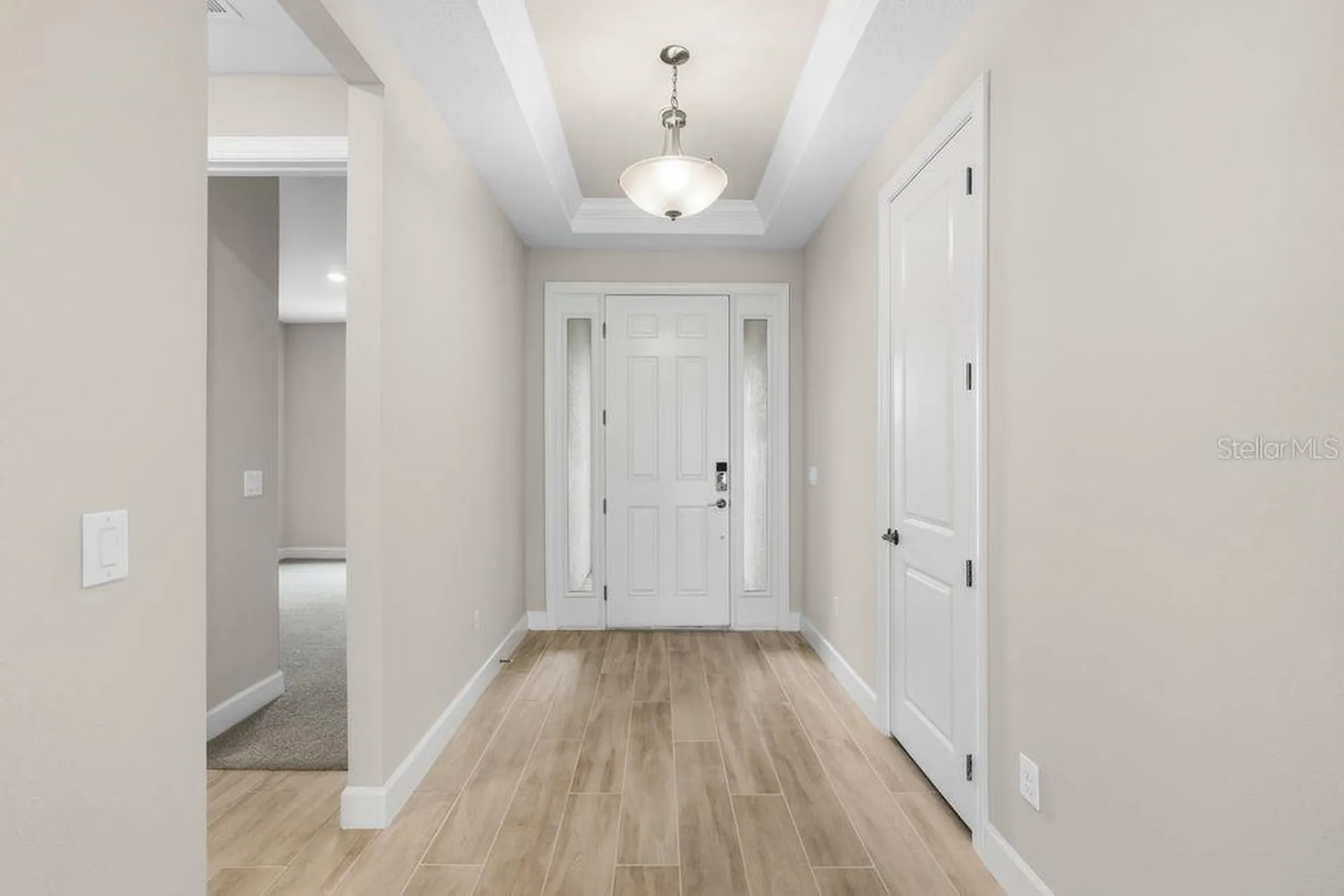 3897 Figliolia Way Wesley Chapel FL 33543