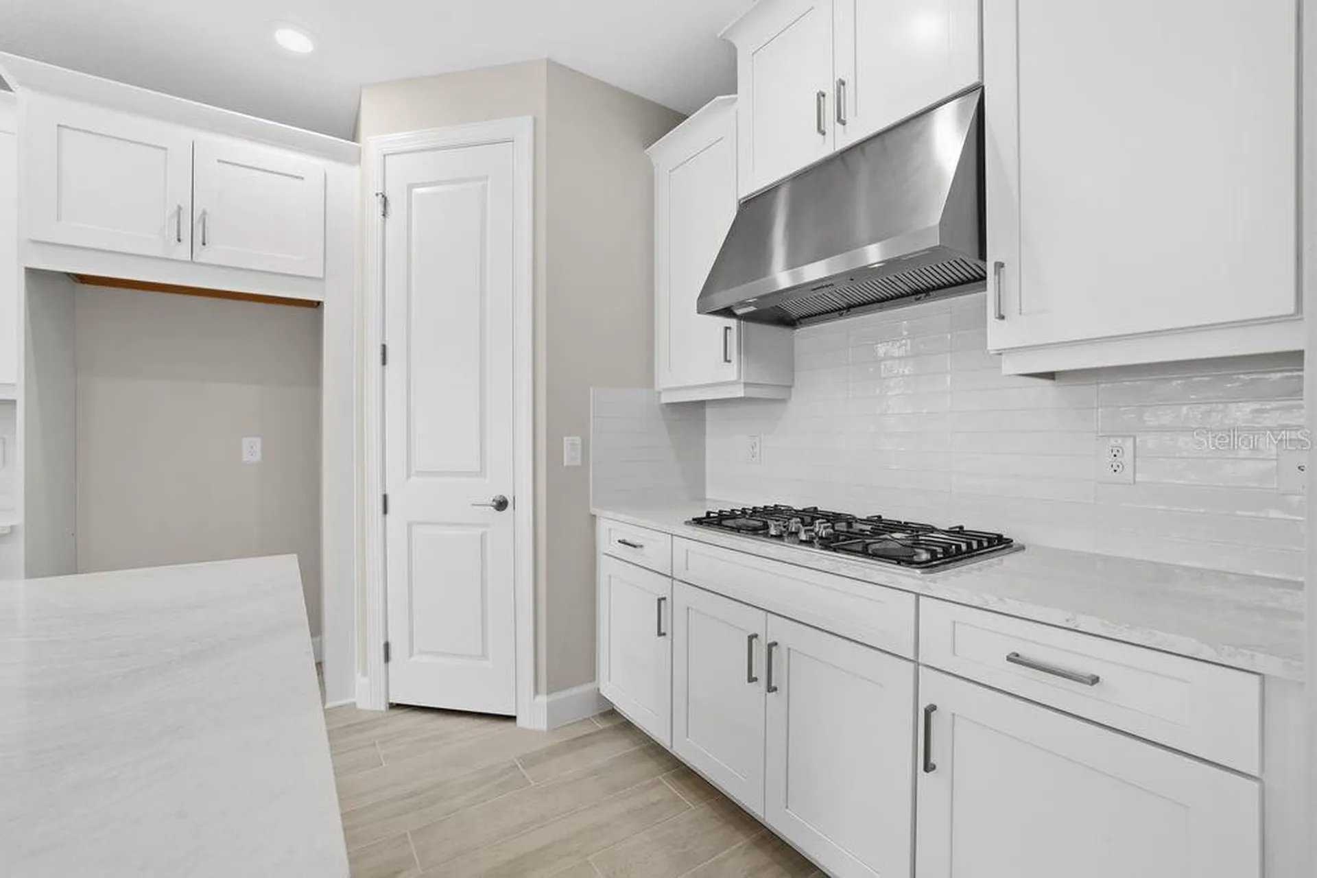 3897 Figliolia Way Wesley Chapel FL 33543