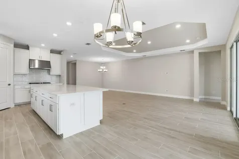 3897 Figliolia Way Wesley Chapel FL 33543