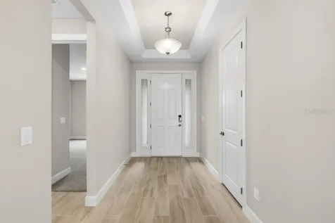 3897 Figliolia Way Wesley Chapel FL 33543