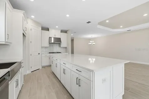 3897 Figliolia Way Wesley Chapel FL 33543