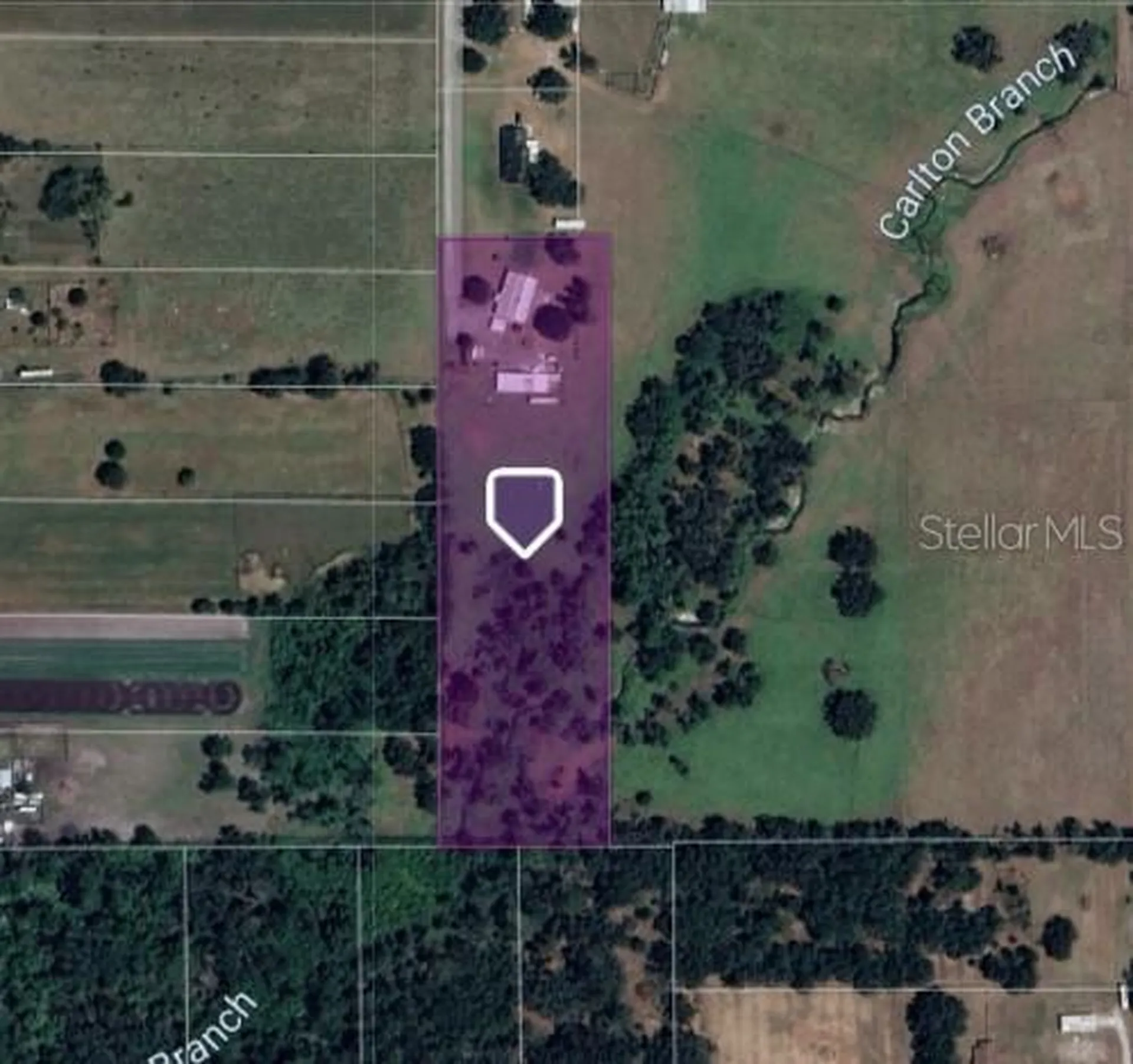 14010 Scales Road Wimauma FL 33598