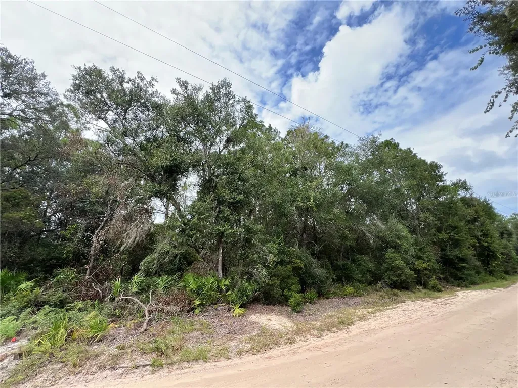 Tbd Dane Lane Melrose FL 32666