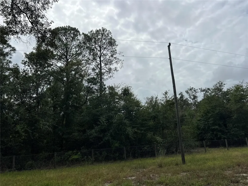 Tbd Dane Lane Melrose FL 32666
