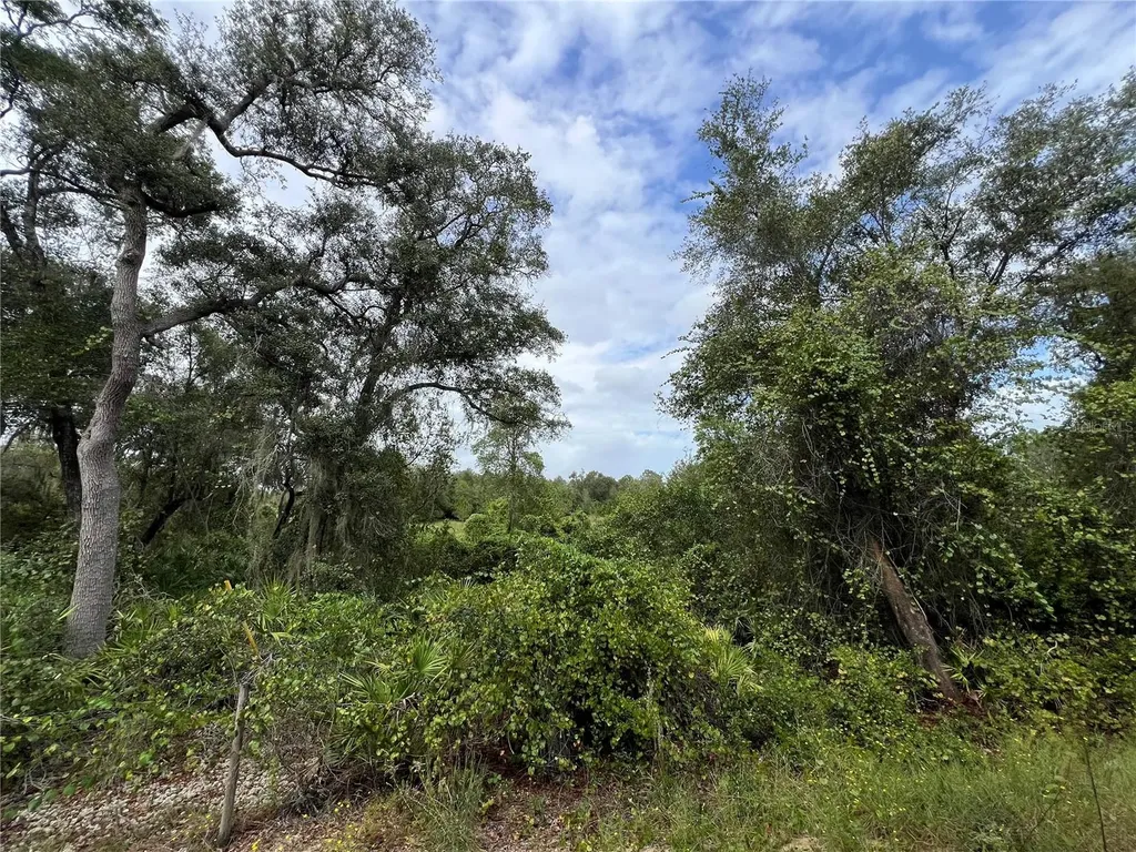 Tbd Dane Lane Melrose FL 32666