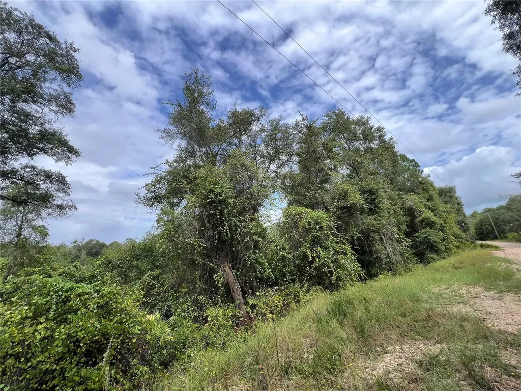 Tbd Dane Lane Melrose FL 32666