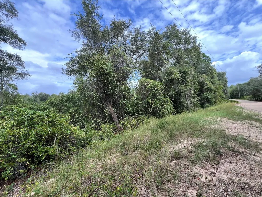 Tbd Dane Lane Melrose FL 32666