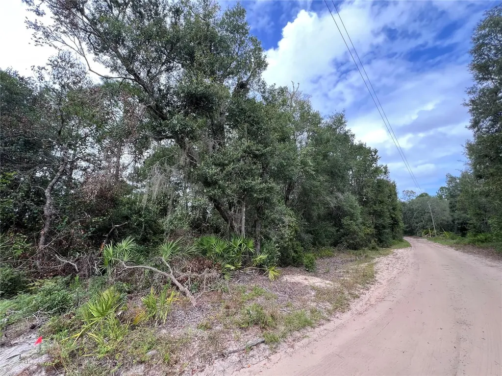 Tbd Dane Lane Melrose FL 32666