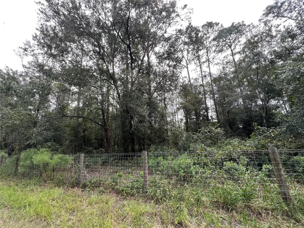 Tbd Dane Lane Melrose FL 32666