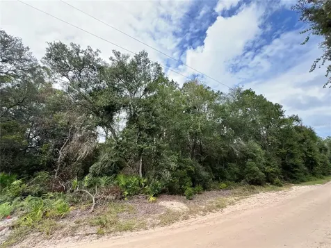 Tbd Dane Lane Melrose FL 32666