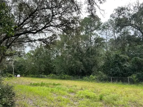 Tbd Dane Lane Melrose FL 32666