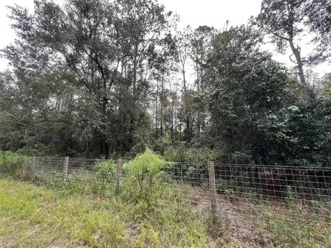 Tbd Dane Lane Melrose FL 32666