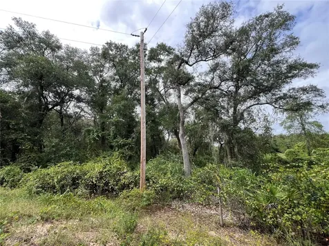Tbd Dane Lane Melrose FL 32666