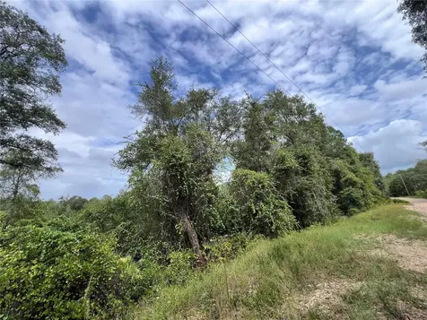 Tbd Dane Lane Melrose FL 32666