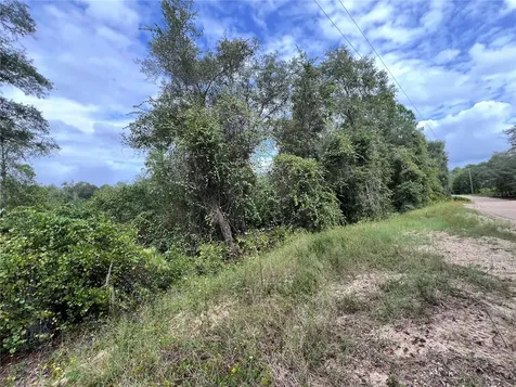 Tbd Dane Lane Melrose FL 32666