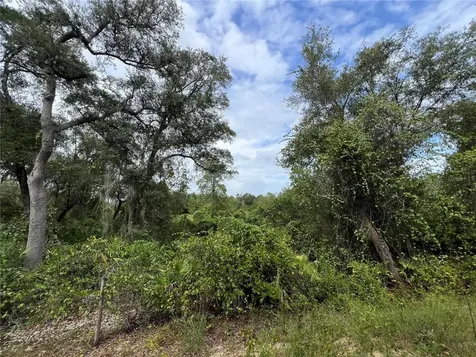 Tbd Dane Lane Melrose FL 32666