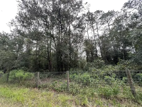 Tbd Dane Lane Melrose FL 32666