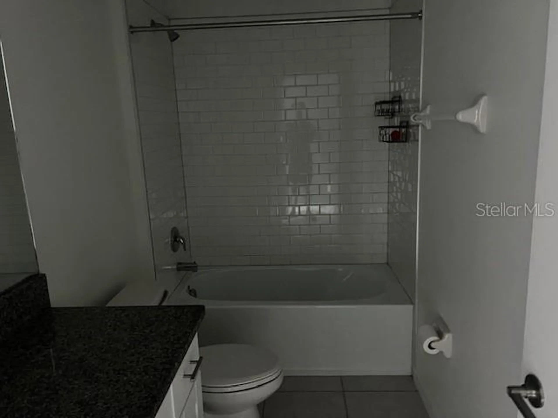 5358 Blue Horizon Way Wimauma FL 33598