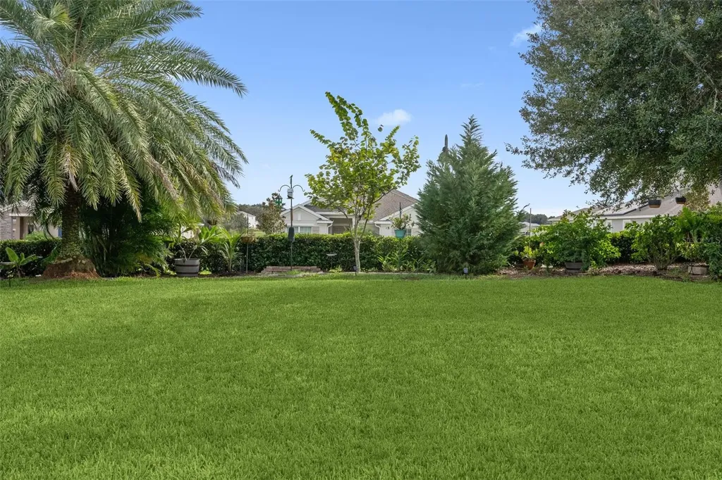 1711 Amsel Falls Park Terrace Winter Garden FL 34787