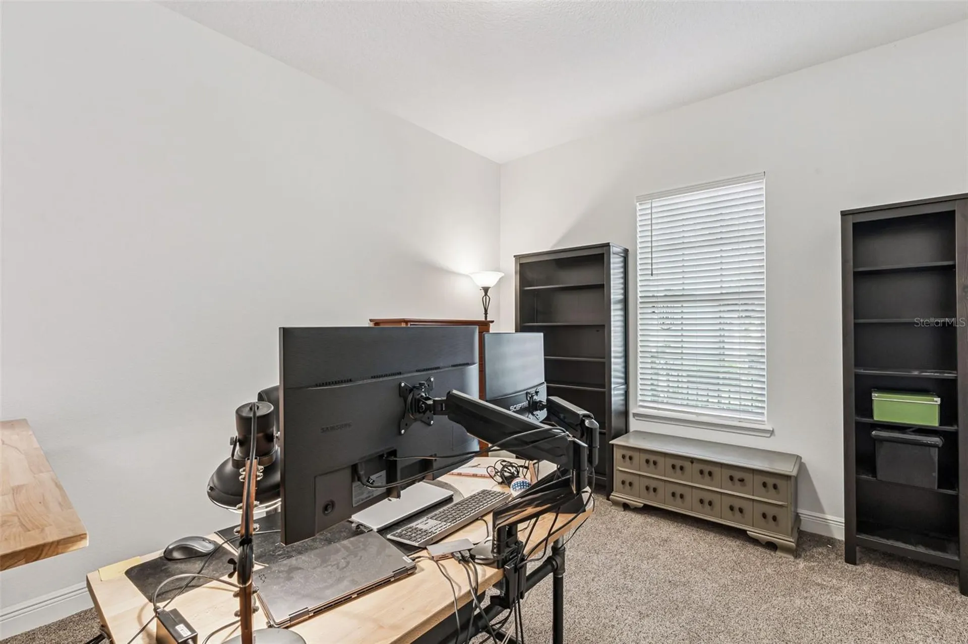 1711 Amsel Falls Park Terrace Winter Garden FL 34787