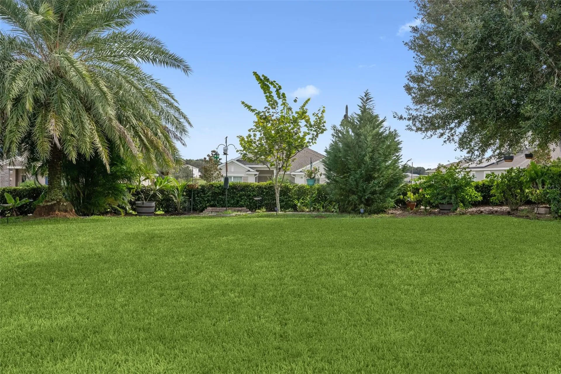 1711 Amsel Falls Park Terrace Winter Garden FL 34787