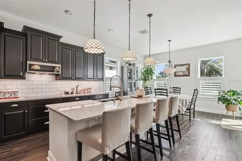 1711 Amsel Falls Park Terrace Winter Garden FL 34787