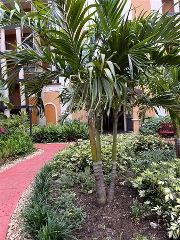 12521 Floridays Resort Drive Orlando FL 32821