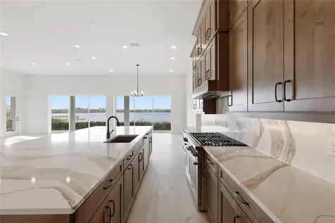 14168 Larkspur Lake Drive Winter Garden FL 34787