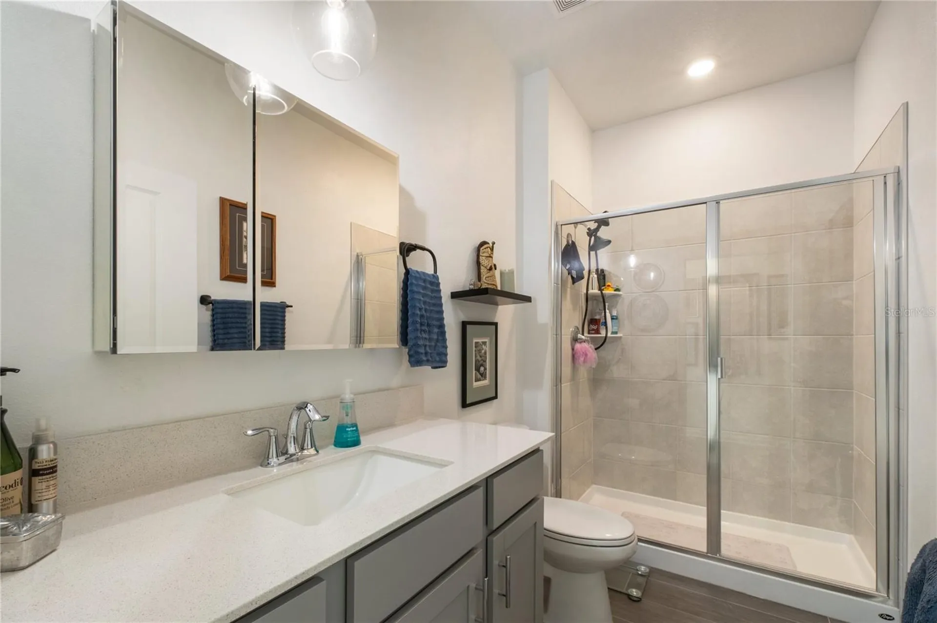 2917 Armstrong Avenue Clermont FL 34714