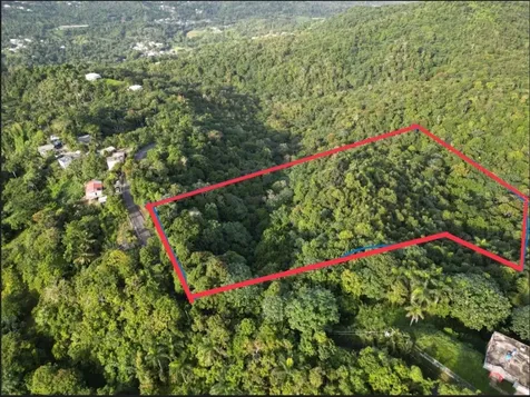 Bo Caguitas, Carr 785 Km.hm 4.2, Aguas Buenas PR 00703
