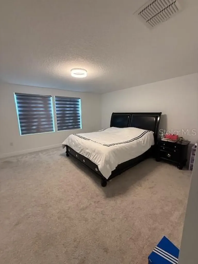 2594 Trielle Avenue Kissimmee FL 34741