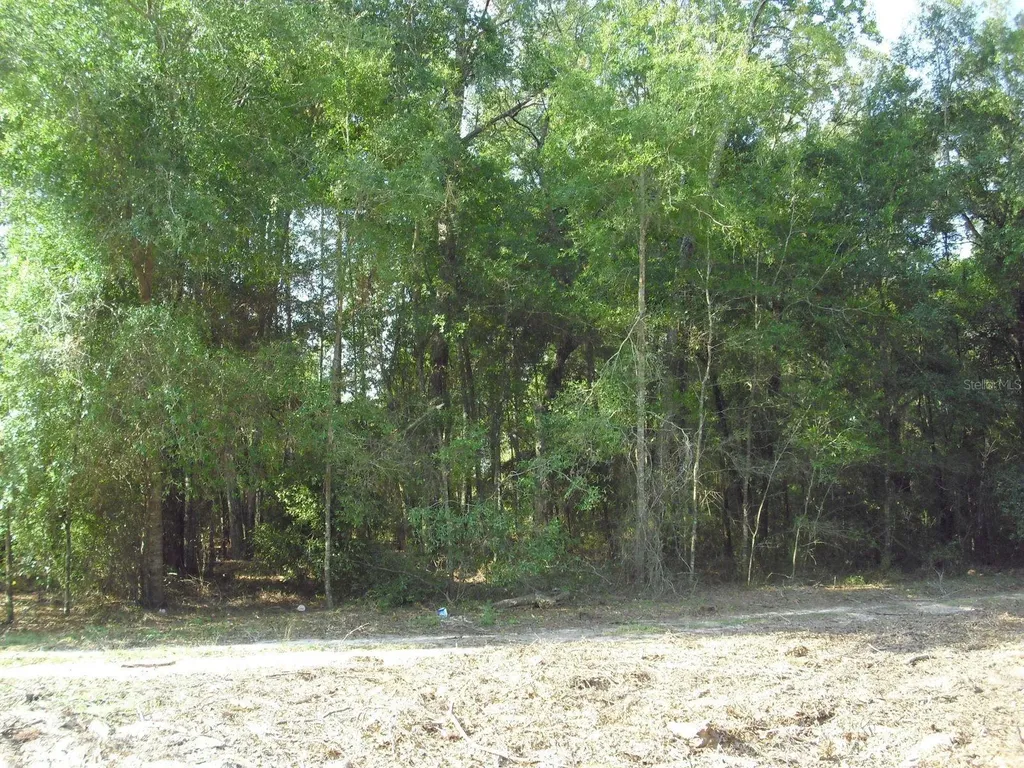 Lot 6 SW 23rd Place Ocala FL 34481