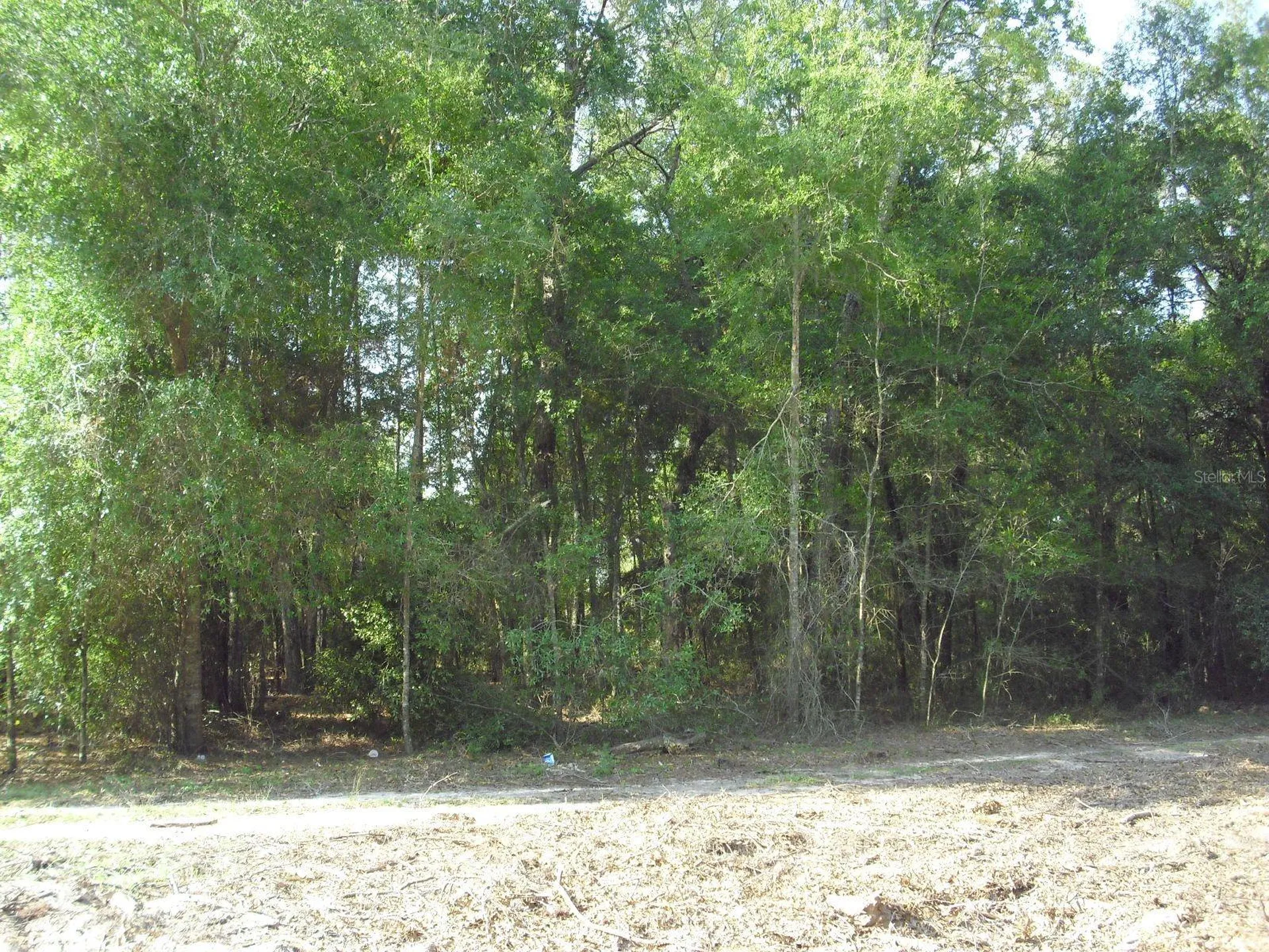 Lot 6 SW 23rd Place Ocala FL 34481