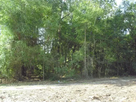 Lot 6 SW 23rd Place Ocala FL 34481