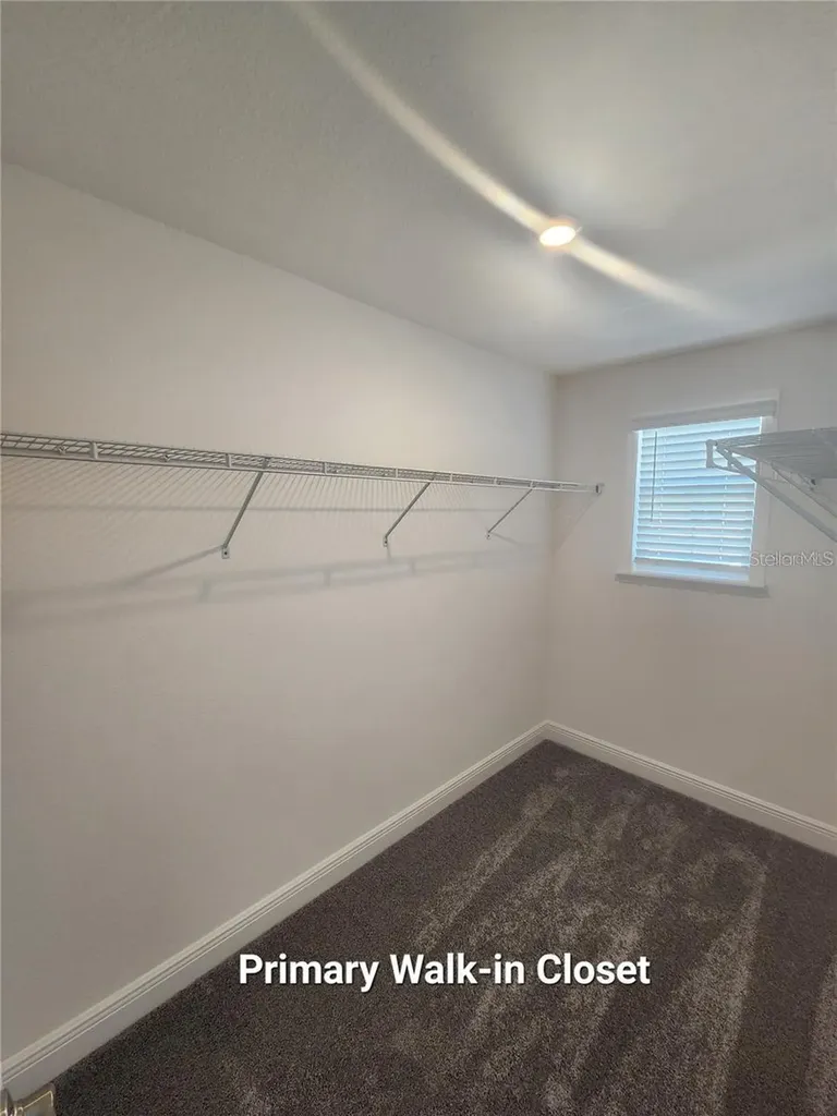 32118 Pond Apple Bend San Antonio FL 33576