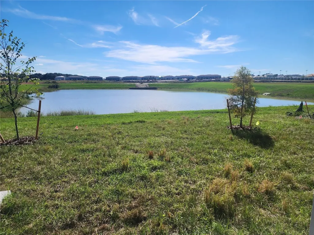 32118 Pond Apple Bend San Antonio FL 33576