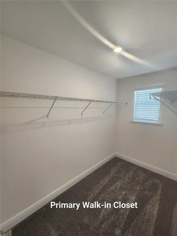 32118 Pond Apple Bend San Antonio FL 33576