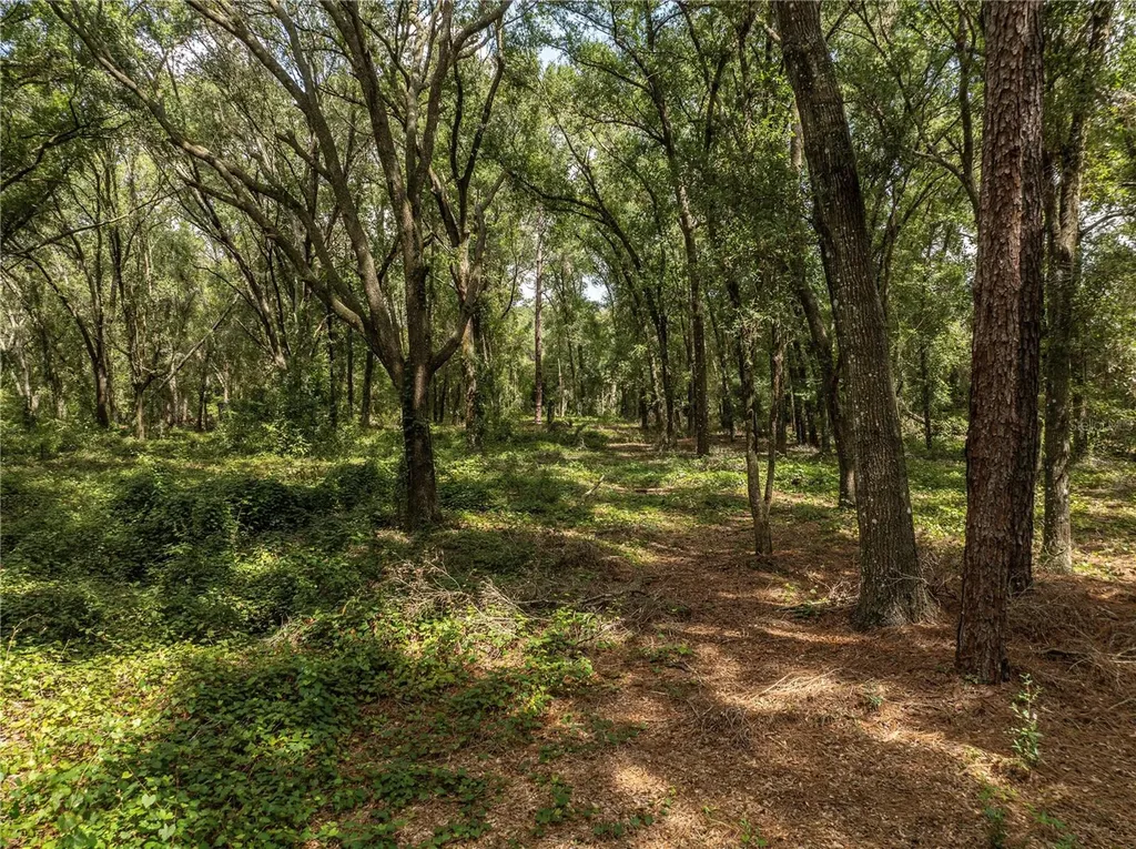 2946 SE 21st Avenue Sumterville FL 33585