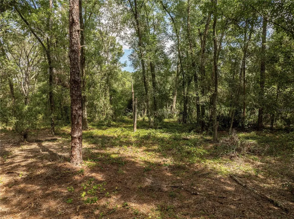 2946 SE 21st Avenue Sumterville FL 33585