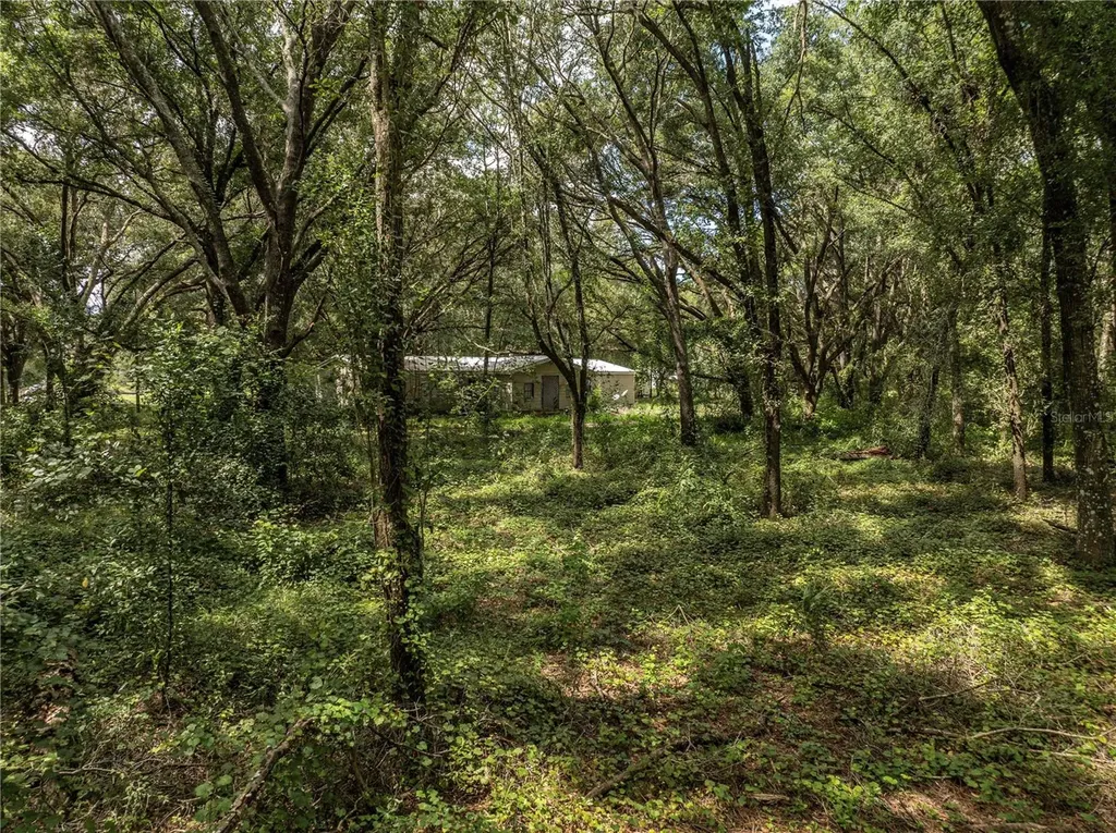2946 SE 21st Avenue Sumterville FL 33585