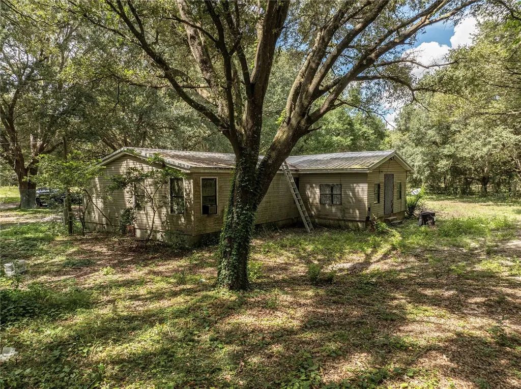 2946 SE 21st Avenue Sumterville FL 33585