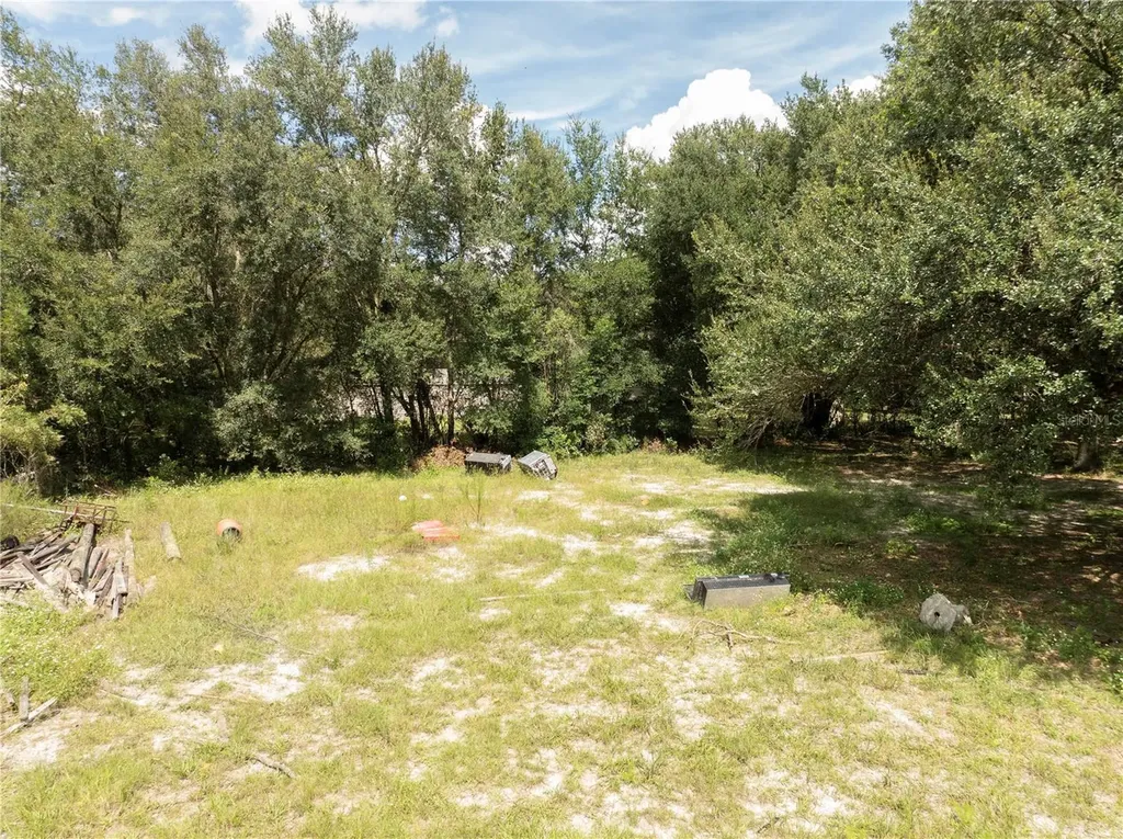 2946 SE 21st Avenue Sumterville FL 33585