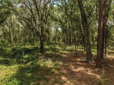 2946 SE 21st Avenue Sumterville FL 33585