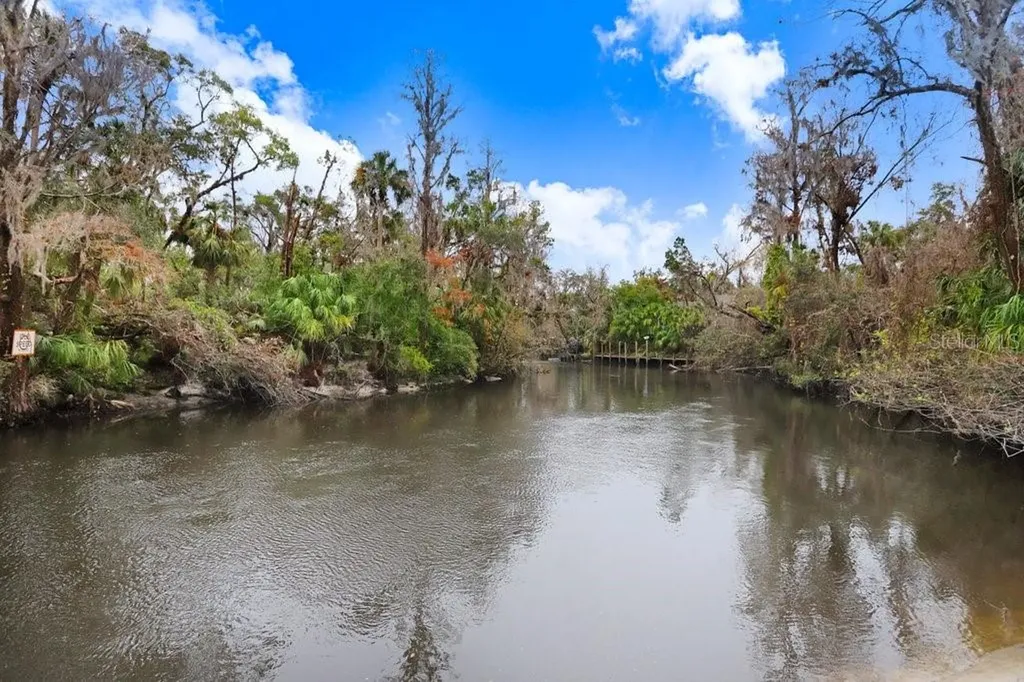 4872 Rambling River Road Brandon FL 33511