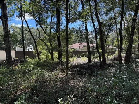 SW Driftwood Court Dunnellon FL 34431