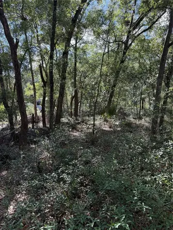 SW Driftwood Court Dunnellon FL 34431